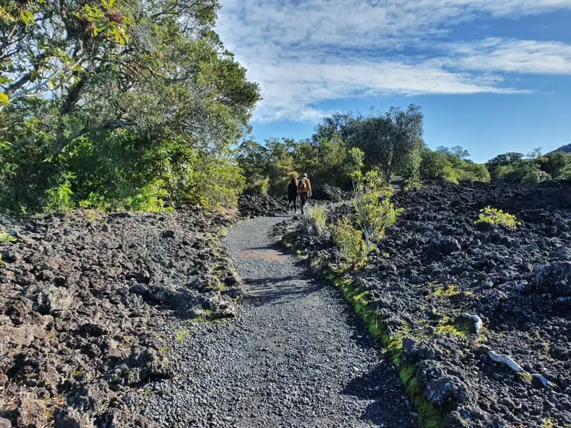 rangitoto-island-wayway-track